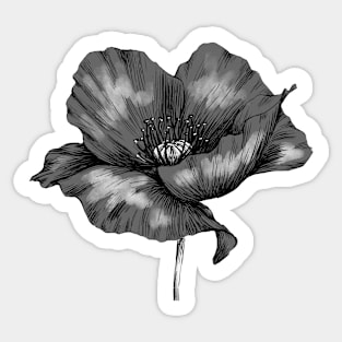 Poppy Sticker